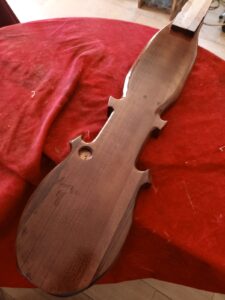 baby bass elaboracion , lauderia moreno (11)