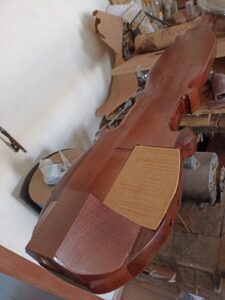 baby bass elaboracion , lauderia moreno (17)