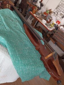 baby bass elaboracion , lauderia moreno (2)