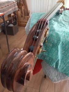 baby bass elaboracion , lauderia moreno (4)