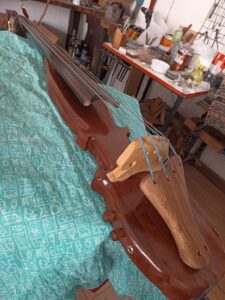 baby bass elaboracion , lauderia moreno (6)