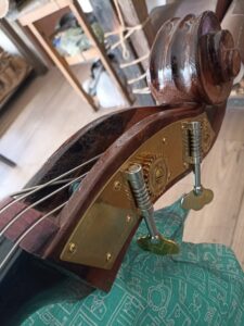 baby bass elaboracion , lauderia moreno (7)