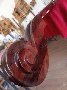 baby bass elaboracion , lauderia moreno (8)