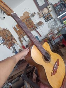 bajo quinto elaboración lauderia moreno