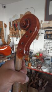 viola restauracion (3)